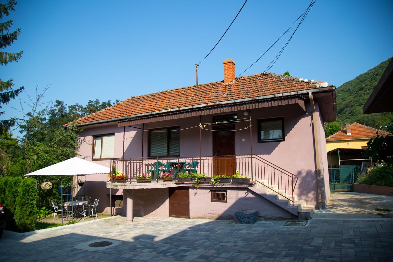 Apartments Cvetkovic Relax Niska Banja Exteriér fotografie